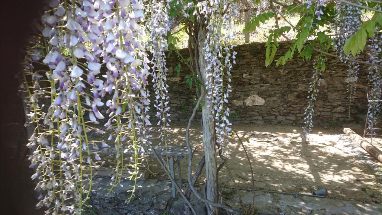Le Mercou En Cevennes Saint-Martin-de-Boubaux Exterior foto